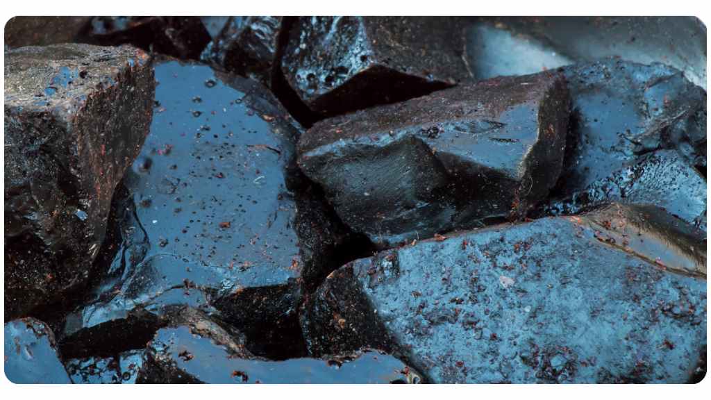 cistanche vs. shilajit - shilajit