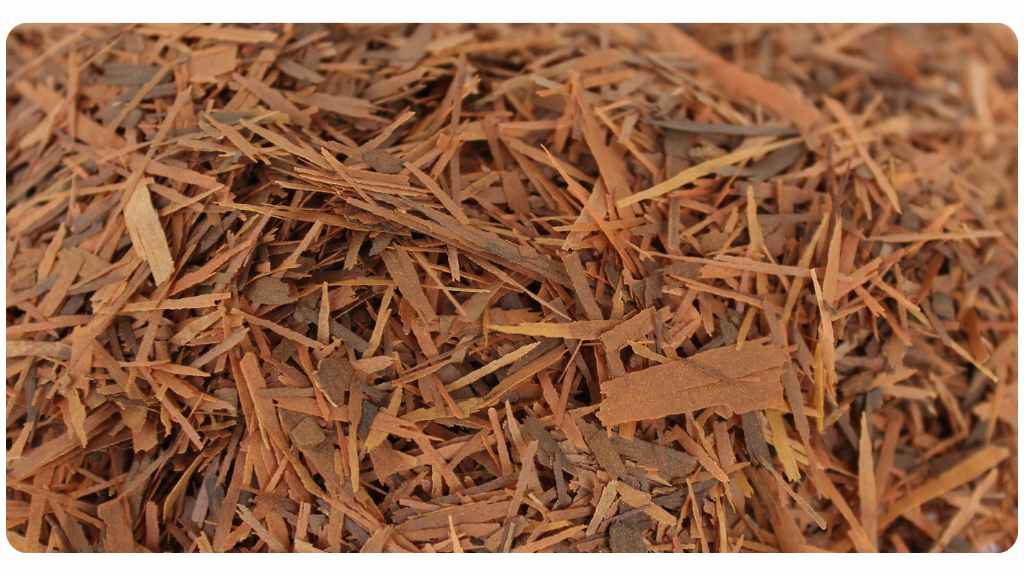 benefits of taking pau d'arco