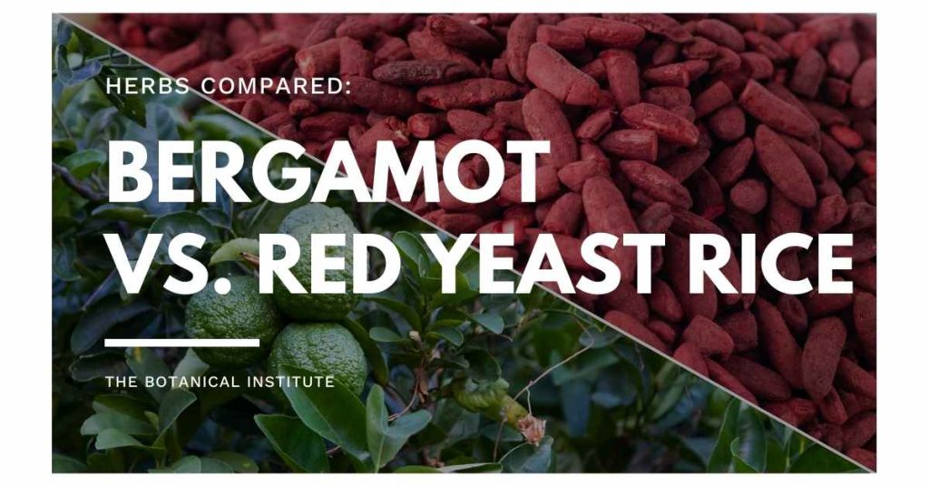 citrus bergamot vs. red yeast rice