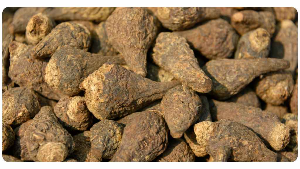 herbs for love - maca