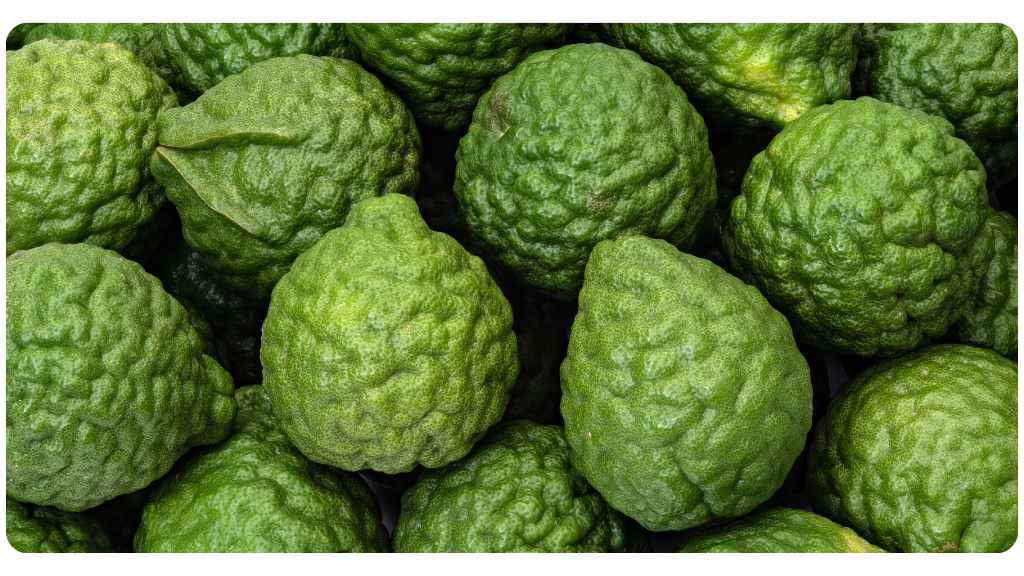 benefits of citrus bergamot for blood sugar & weight loss