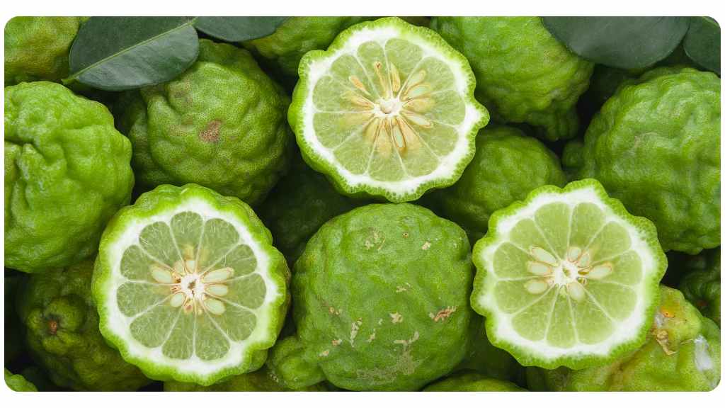 citrus bergamot for cholesterol