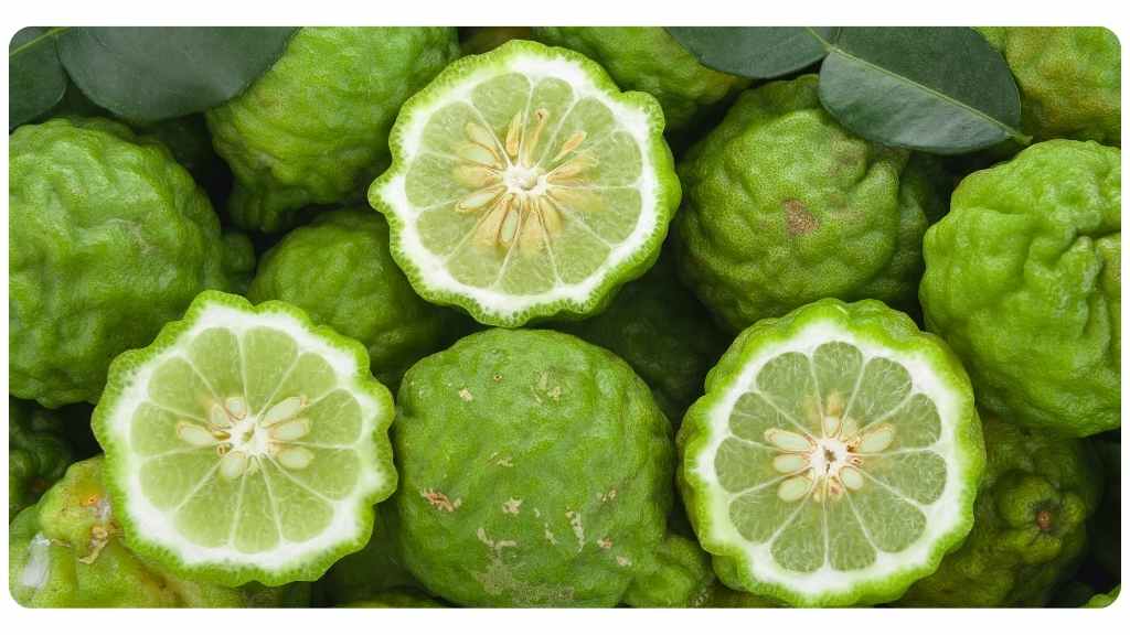 information on citrus bergamot safety, side effects, and dosing