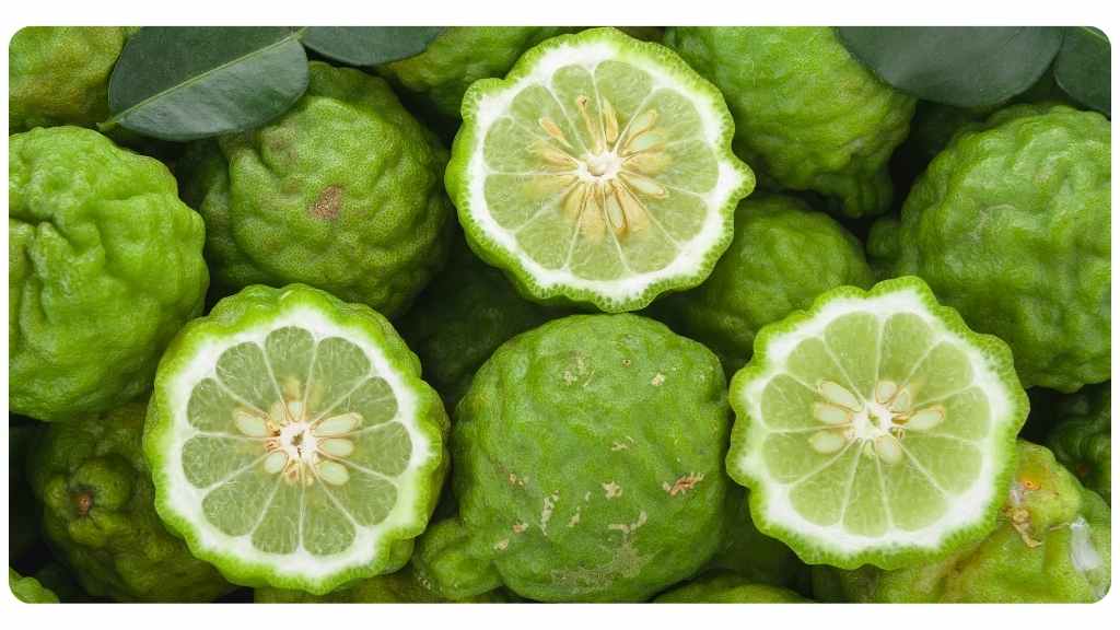 citrus bergamot vs. red yeast rice - citrus bergamot