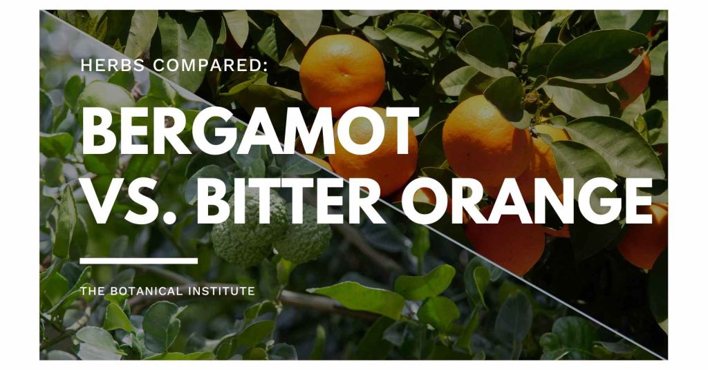 citrus bergamot vs. bitter orange