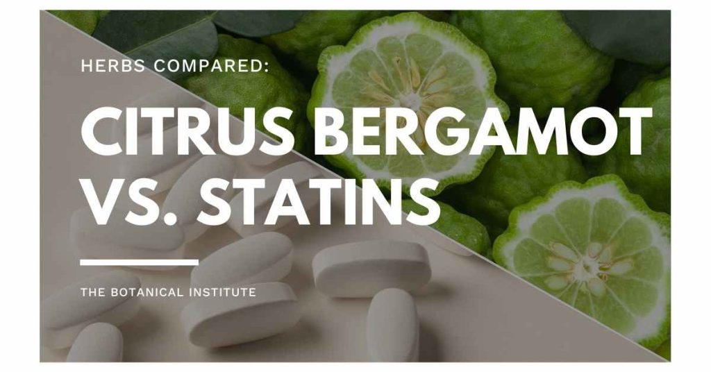 Citrus bergamot vs. statins: overveiw