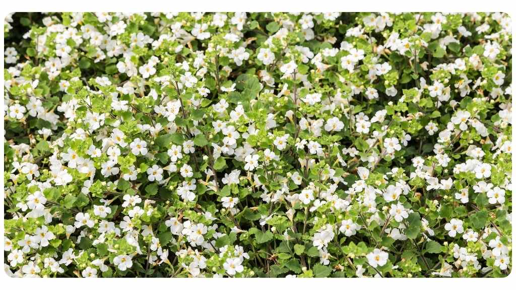 herbs high in zinc - conclusion