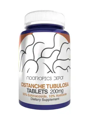 Cistanche Tubulosa by Nootropic Depot