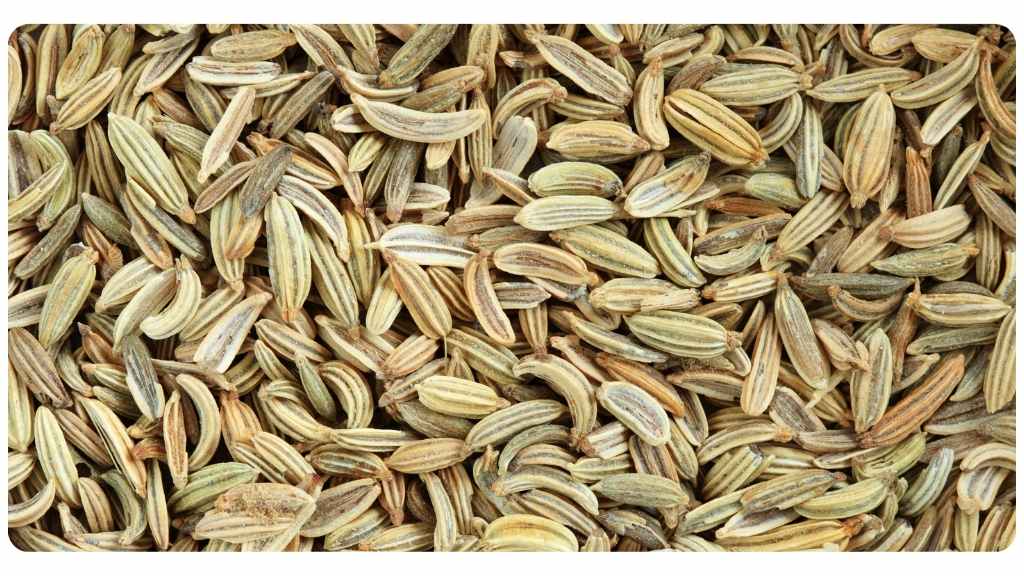 niacin rich foods - fennel seeds