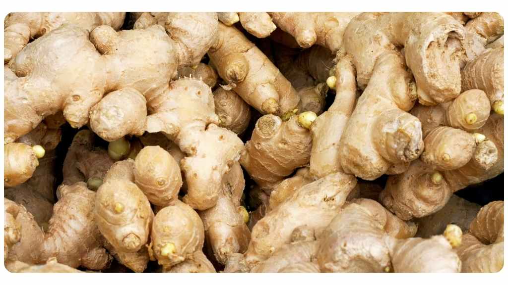 niacin rich foods - ginger