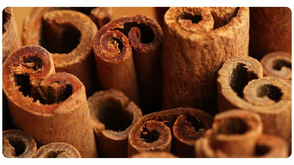 herbs with a high antioxidant content - cinnamon