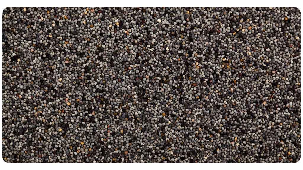 herbs with a high copper content - poppy seeds