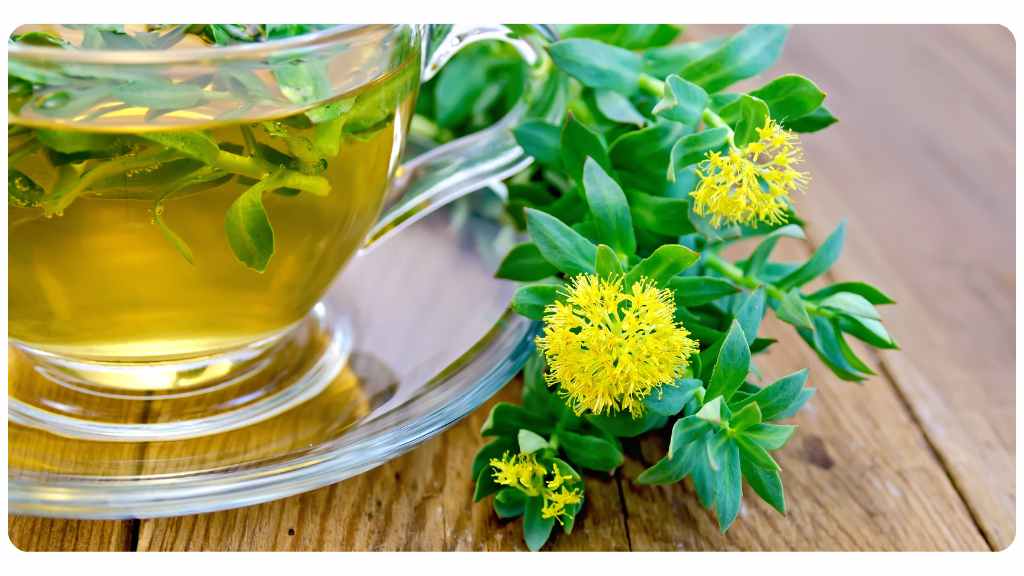 benefits of drinking herbal tea