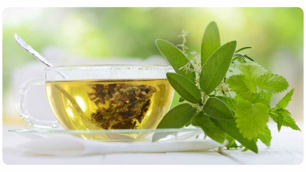 best teas for a cough