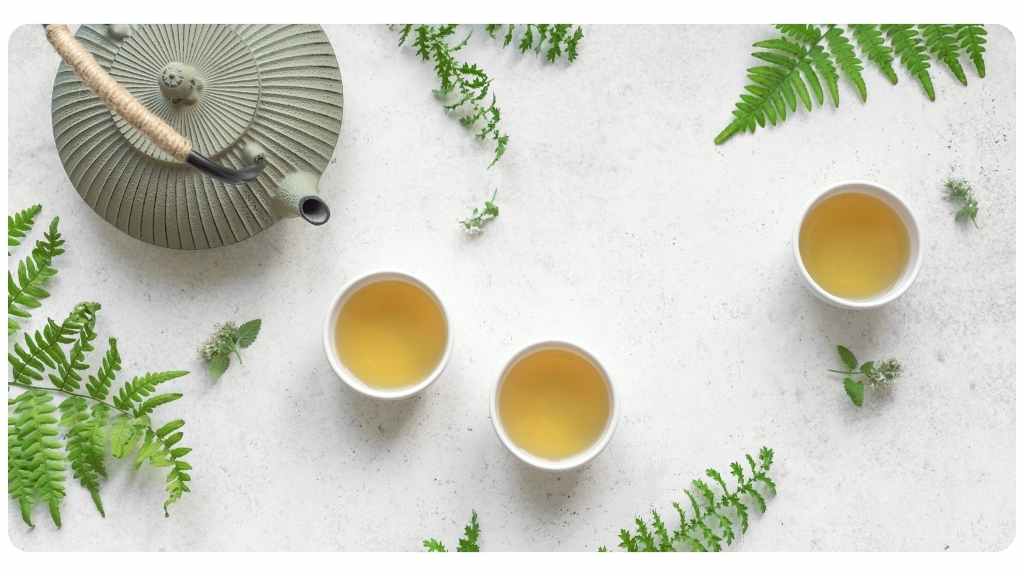 best teas for weight and fat loss
