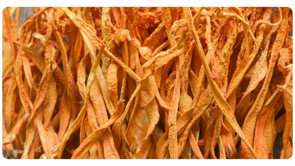 weight loss benefits of cordyceps tea