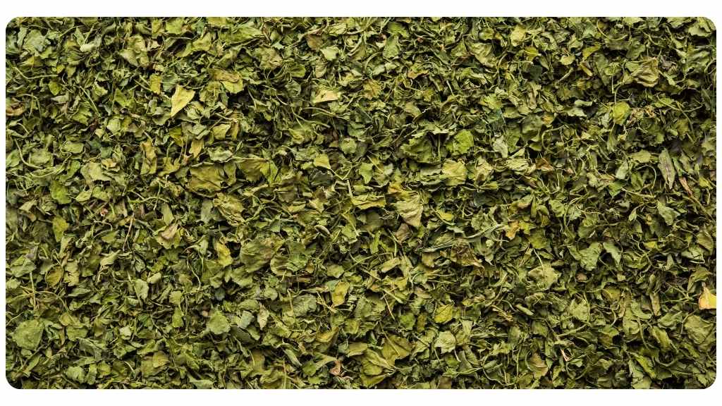 fenugreek tea to enhance weight loss