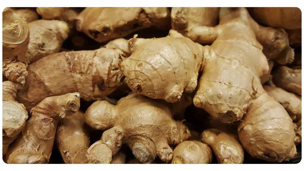 ginger tea for losing weight