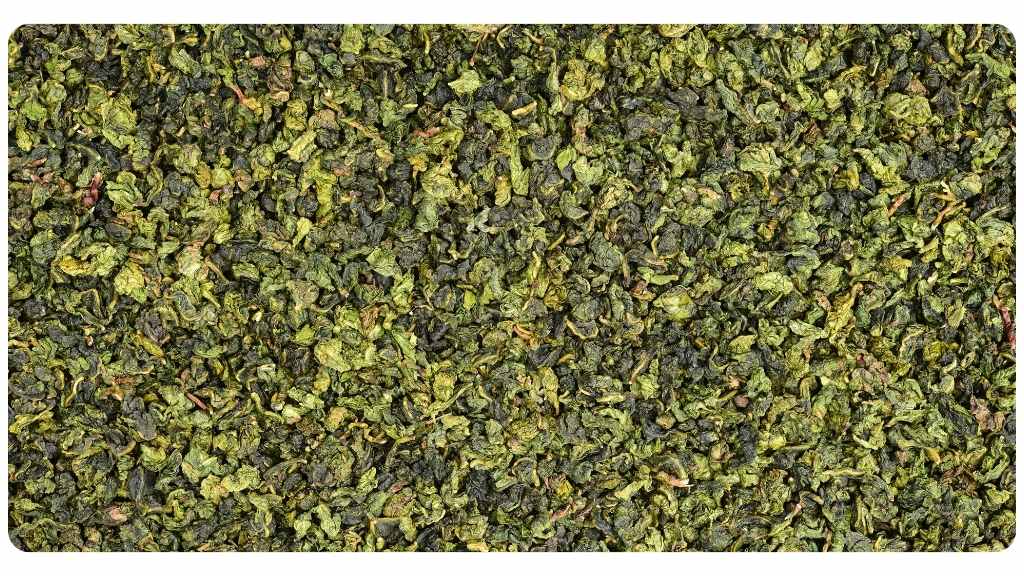 green tea for weight loss