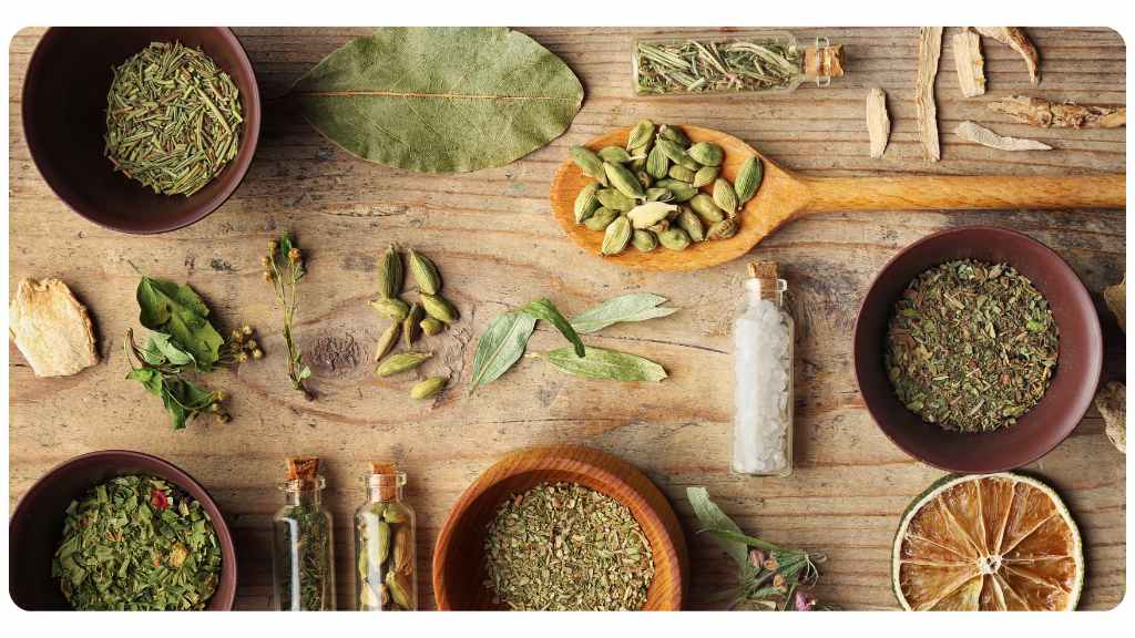 Chestnut School of Herbal Medicine