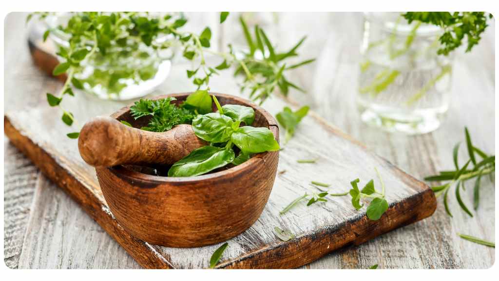 herbal resources