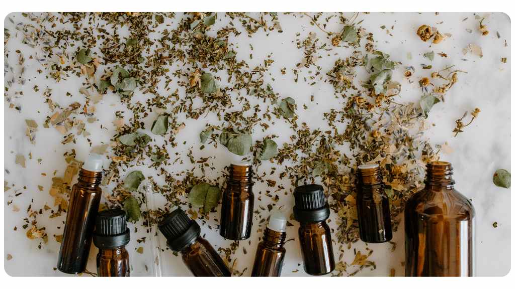 resources for herbal education