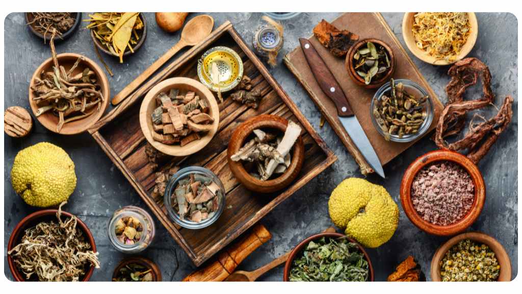 areas of herbal medicine