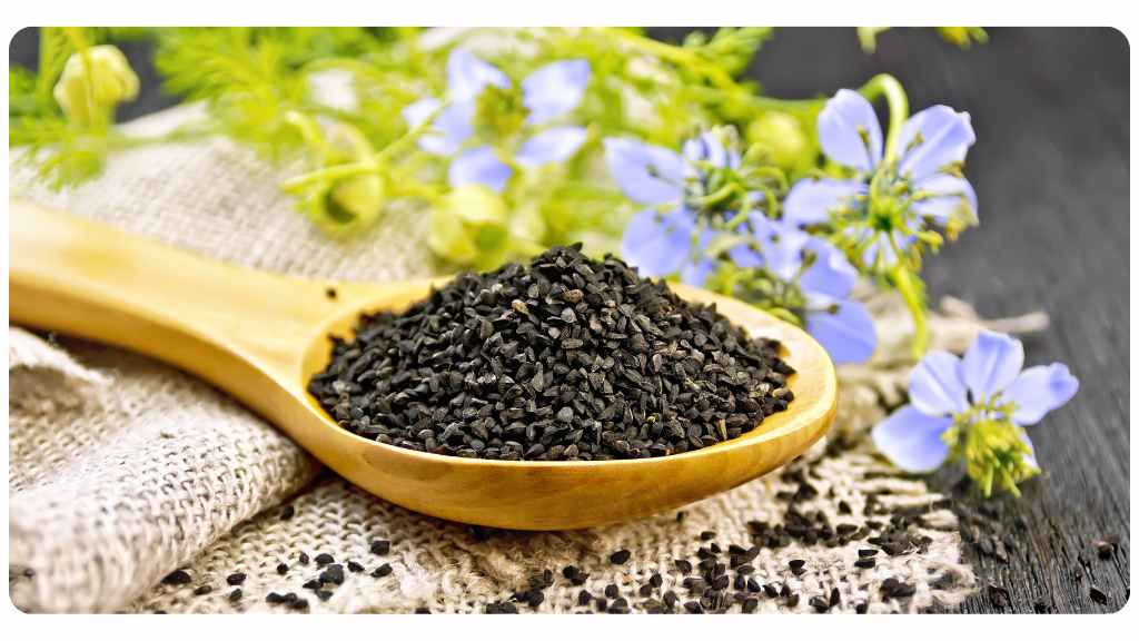 black seed oil as a natural remedy for skin health