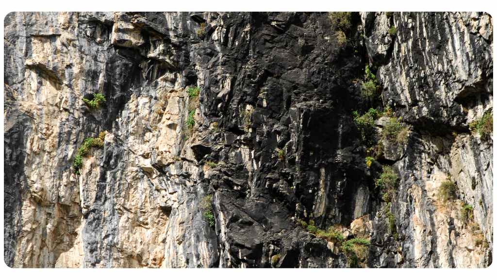 shilajit for men's overall health