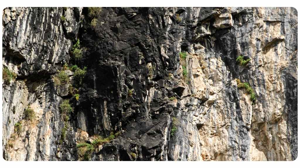 shilajit benefits for women