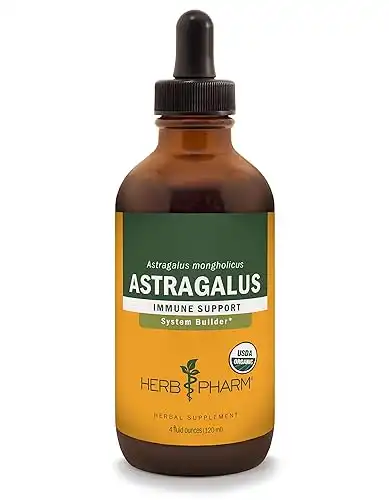 Astragalus by Herb Pharm