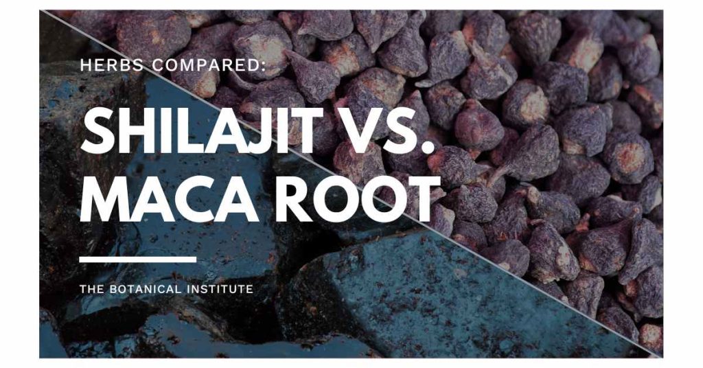 shilajit vs. maca root