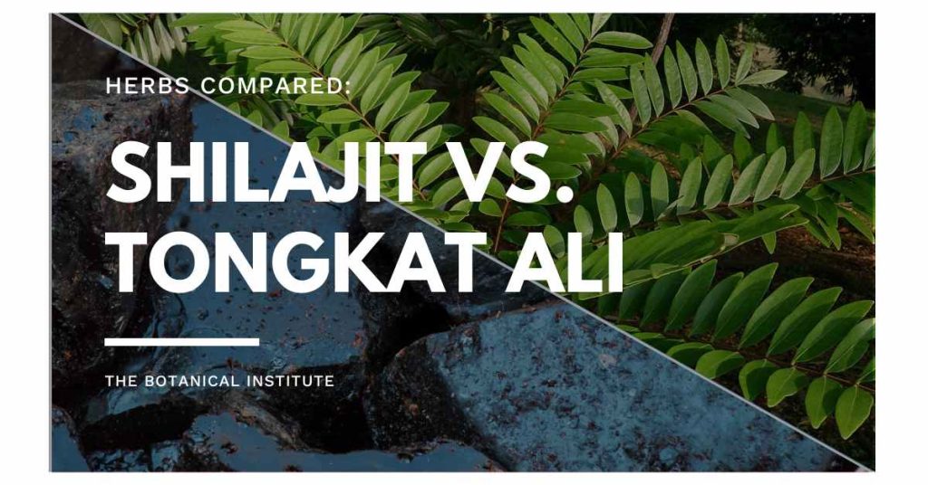 shilajit vs tongkat ali