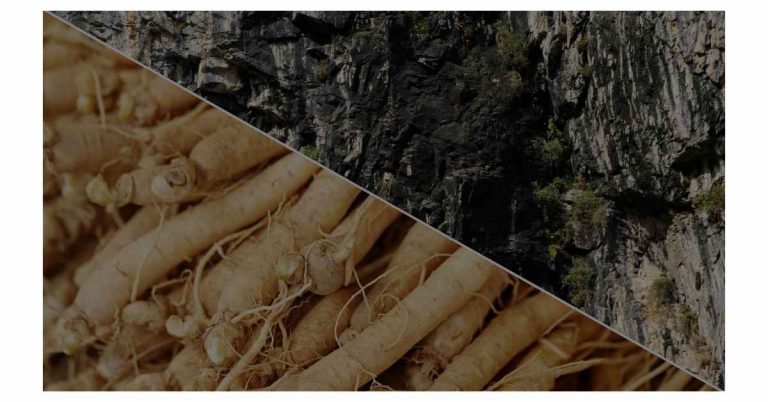 Shilajit vs. Ginseng