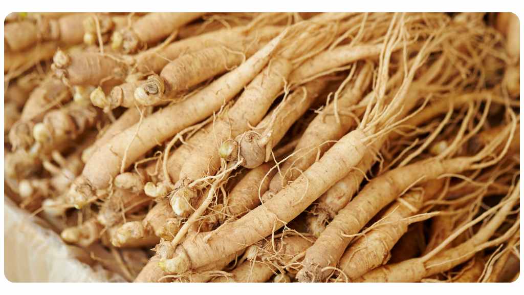 the various health benefits of ginseng vs. shilajit